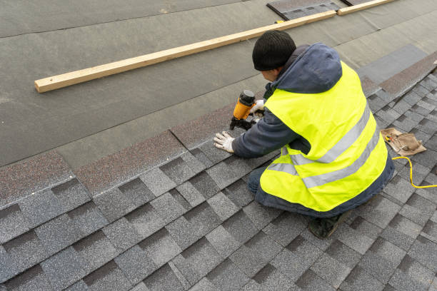 Best Roof Gutter Cleaning  in Carleton, MI