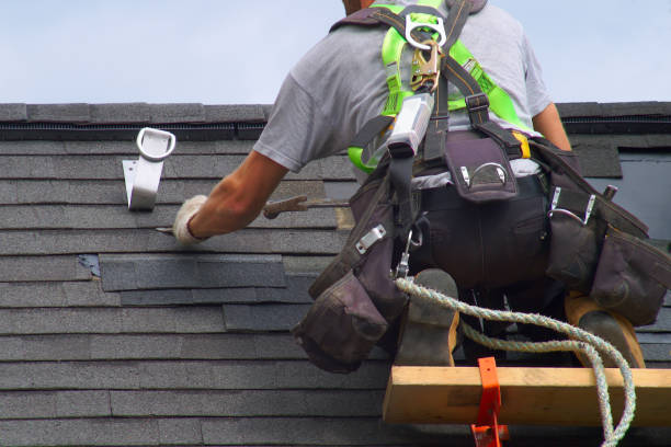 Best Roof Waterproofing Services  in Carleton, MI