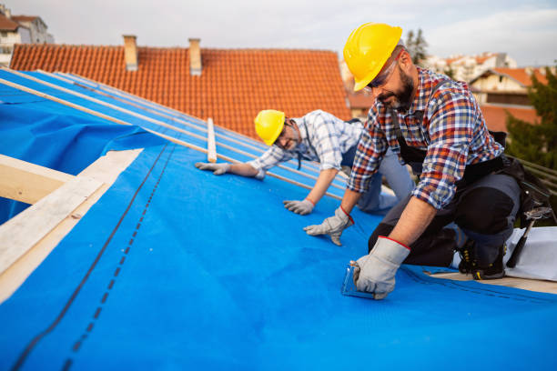 Best New Roof Installation  in Carleton, MI