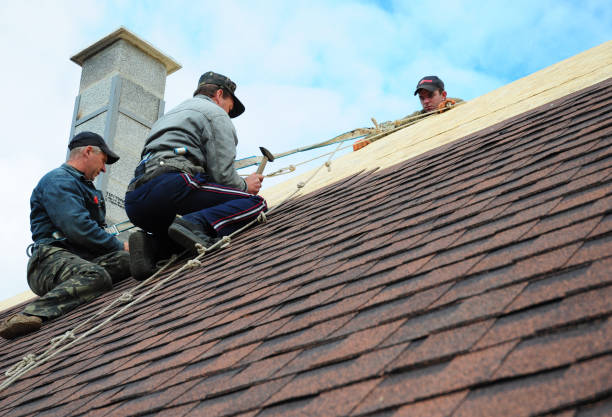 Quick and Trustworthy Emergency Roof Repair Services in Carleton, MI