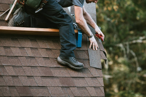 Best Roof Repair Specialists  in Carleton, MI