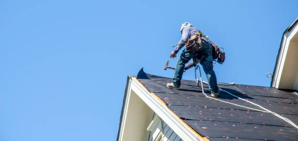 Best Roof Repair Services  in Carleton, MI